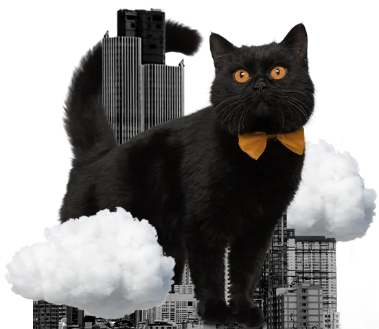 cat business