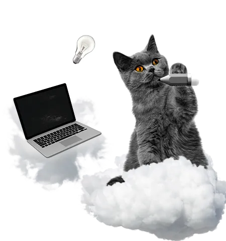 cat graphic