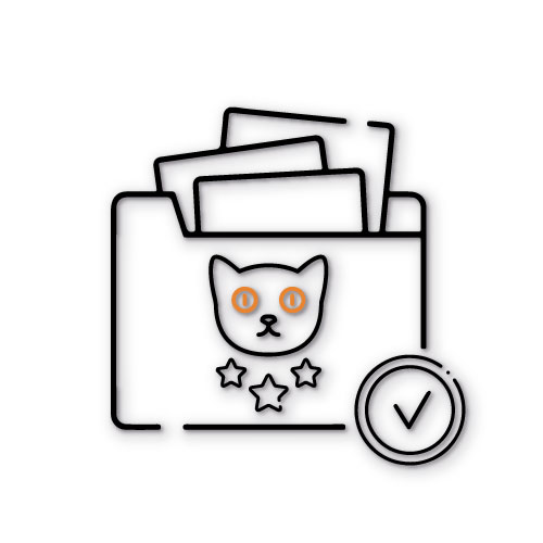 workflow graphic 6